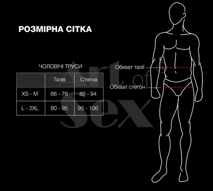 Чоловічі трусики з силіконовою анальною пробкою Art of Sex Sexy Panties Plug, чорні (L / One Size) SO5879 фото
