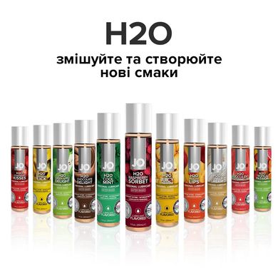 Смазка на водной основе System JO H2O — Raspberry Sorbet (120 мл) без сахара, растительный глицерин SO1671 фото