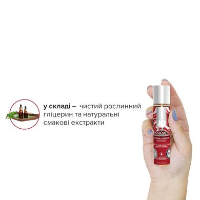 Різдвяний набір лубрикантів System JO Naughty or Nice Gift Set – Candy Cane & Gingerbread (2×30 мл) SO6163 фото