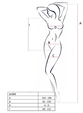 Эротическое сетчатое платье-бодистокинг Passion BS027 One Size, White PBS027W фото